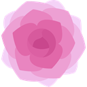 nature, petals, Botanical, blossom, Peony, Flower PaleVioletRed icon