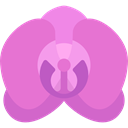 Botanical, petals, blossom, nature, Flower, Orchid Orchid icon