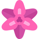 Flower, Botanical, Gladiolus, petals, nature, blossom HotPink icon