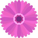 Botanical, nature, blossom, Gerbera, petals, Flower Orchid icon