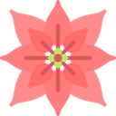 nature, petals, blossom, Botanical, Flower, poinsettia Salmon icon