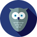 zoo, Animal Kingdom, Animals, Wild Life, owl DarkSlateBlue icon