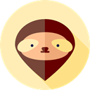 Animals, Animal Kingdom, zoo, sloth, Wild Life Moccasin icon