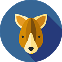 Animals, kangaroo, zoo, Marsupial, Wild Life, Animal Kingdom SteelBlue icon