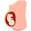 Gestation, Healthcare And Medical, Women, pregnancy, Reproduction, Fertility, people, Female LightPink icon