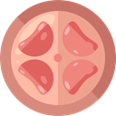 medical, Uterus, Anatomy, Female Organs, Reproductive System, Healthcare And Medical DarkSalmon icon