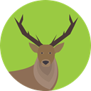 deer, Wild Life, Animal Kingdom, zoo, Animals YellowGreen icon