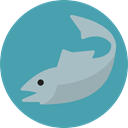 Animal, food, fish, organic, Animals, diet, Healthy Food, Sea Life CadetBlue icon