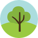 yard, Botanical, nature, garden, gardening, ecology, Tree YellowGreen icon
