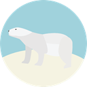 Animal, zoo, Animals, polar bear, Wild Life, Animal Kingdom LightBlue icon