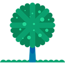 yard, Botanical, Tree, nature, garden, gardening, ecology DarkCyan icon