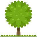 Tree, nature, garden, gardening, ecology, yard, Botanical OliveDrab icon
