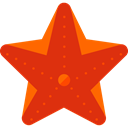 ocean, Animals, Aquarium, Starfish, Aquatic, Sea Life OrangeRed icon