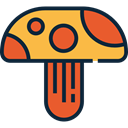 food, Mushroom, nature, Fungi, Muscaria DarkSlateGray icon