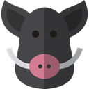 zoo, Animals, wildlife, Animal Kingdom, Boar DarkSlateGray icon