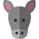 zoo, Animals, Donkey, Wild Life, Animal Kingdom Gray icon