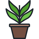 plant, nature, garden, gardening, ecology, yard, Botanical DarkSlateGray icon