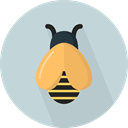 insect, fly, Bee, Animals, Animal Kingdom LightGray icon