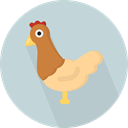 bird, Animals, Farm, hen, Animal Kingdom LightGray icon