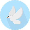 bird, fly, Animals, wedding, dove, wings, pigeon PaleTurquoise icon