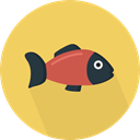 Animal, food, fish, organic, Animals, diet, Healthy Food, Sea Life SandyBrown icon