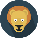 Animal Kingdom, lion, zoo, Animals, Wild Life DarkSlateGray icon