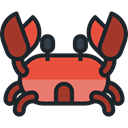food, Animals, Crabs, Summertime, Sea Life, Aquarium, Beach, summer, Crab DarkSlateGray icon