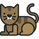 Cat, pet, Animals, Animal Kingdom DarkSlateGray icon