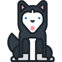 dog, pet, Animals, Animal Kingdom, Siberian Husky DarkSlateGray icon