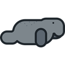 Animals, walrus, wildlife, Animal Kingdom, Sea Cow Black icon