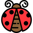 bug, insect, Animals, ladybug, Animal Kingdom Black icon