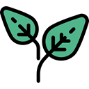plant, Leaf, nature, leave, garden, leaves, Botanical Black icon