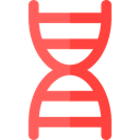 science, medical, education, Genetical, Healthcare And Medical, Biology, dna, Deoxyribonucleic Acid, Dna Structure Tomato icon