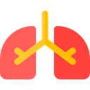 medical, organ, Lungs, Breath, Anatomy, Lung, Healthcare And Medical Tomato icon