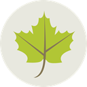 plant, Leaf, nature, garden, maple leaf, Botanical, Ecology And Environment Gainsboro icon