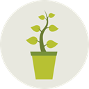 Botanical, garden, gardening, ecology, yard, plant, nature Gainsboro icon