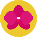 blossom, Botanical, Flower, nature, petals Goldenrod icon