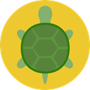 Animal, zoo, turtle, Animals, Wild Life, Animal Kingdom Goldenrod icon