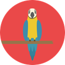 bird, zoo, parrot, Animals, Wild Life, Animal Kingdom Tomato icon