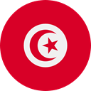 world, flag, Tunisia, flags, Country, Nation Crimson icon