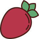 food, Fruit, vegan, Healthy Food, Food And Restaurant, strawberry, organic, diet, vegetarian Brown icon