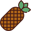 food, Fruit, organic, natural, pineapple, vegetarian, vegan, Healthy Food, Food And Restaurant Maroon icon