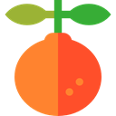 Orange, food, Fruit, organic, diet, vegetarian, vegan, Healthy Food, Food And Restaurant Coral icon