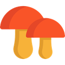 Fungi, Muscaria, Food And Restaurant, food, Mushroom, nature Tomato icon