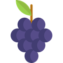 Berries, grape, Berry, Grapes, food, Fruit, fruits, Bouquet, Food And Restaurant DarkSlateBlue icon