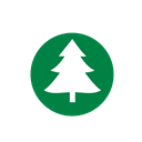 Tree, recycle, collection, trees, Christmas tree Icon