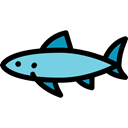 shark, Animals, Aquarium, Aquatic, Sea Life Black icon