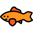 Aquatic, Sea Life, fish, ocean, Animals, Aquarium Black icon