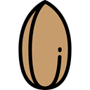 food, vegetarian, vegan, Healthy Food, Nuts, Almond, Food And Restaurant DarkKhaki icon