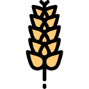 food, vegetable, Grain, flour, plant, Gluten, Food And Restaurant Black icon